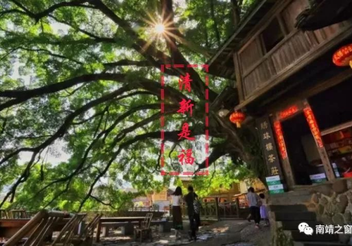 4分钟讲解＂浦城十三张果然有挂”(果然有透视挂)